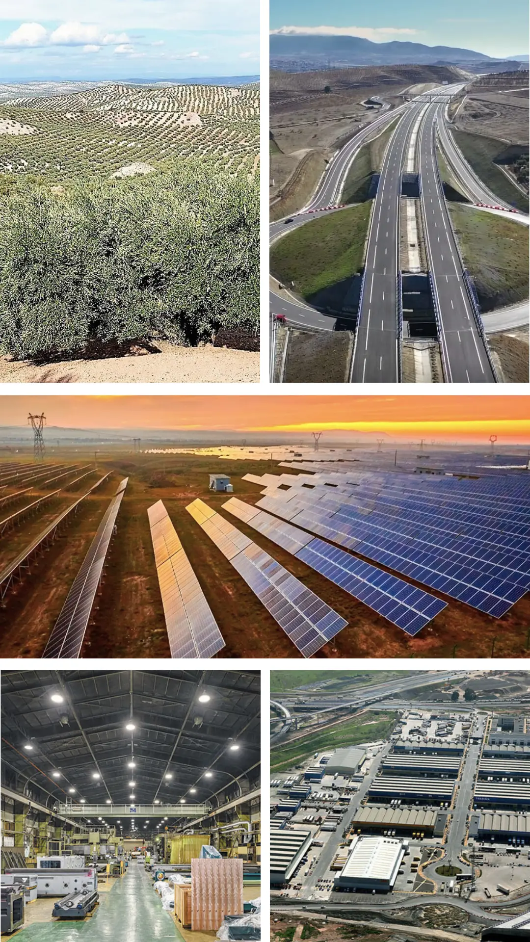 Herrera, Sevilla — Polígono Industrial El Bujeo, conectividad AVE y entorno territorial andaluz